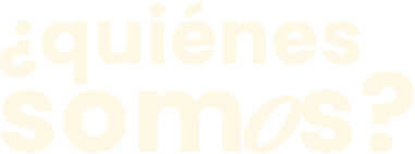 Experiencia